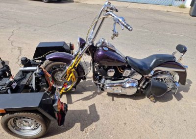 Dollie_Moto_2