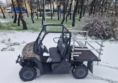 buggy_Utv_3