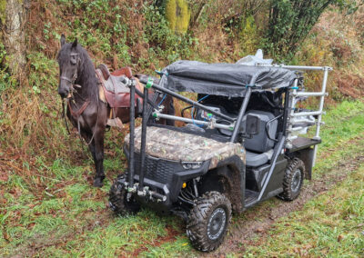 buggy_Utv_6